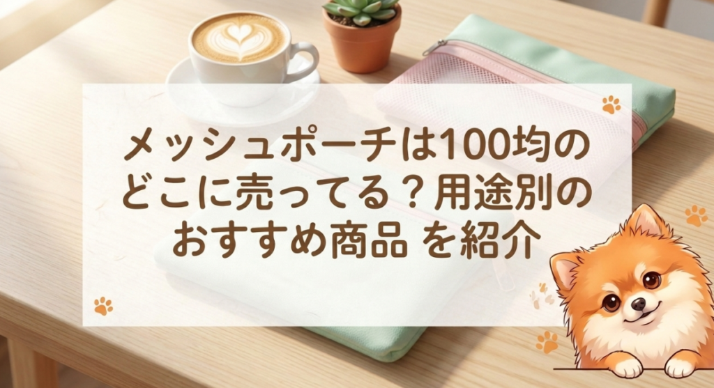 メッシュポーチは100均のどこに売ってる