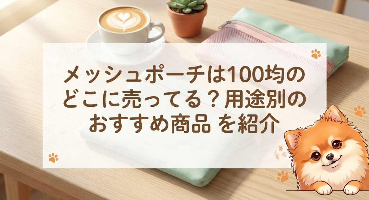 メッシュポーチは100均のどこに売ってる