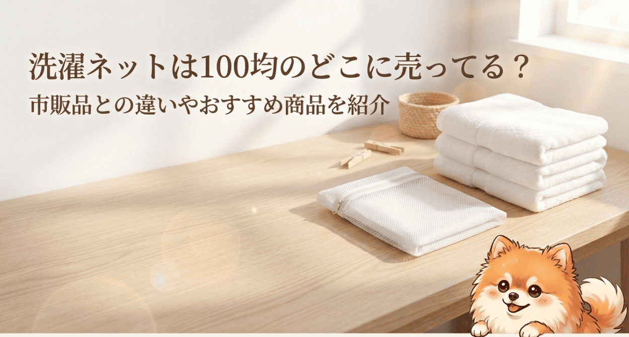 洗濯ネットは100均のどこに売ってる