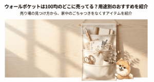 ウォールポケットは100均のどこに売ってる