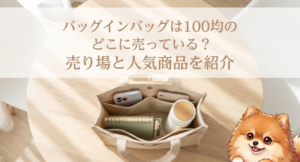 バッグインバッグは100均のどこに売ってる？売り場と人気商品を紹介